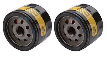 Briggs & Stratton OEM 842921 Oil Filter - 2-Pack
