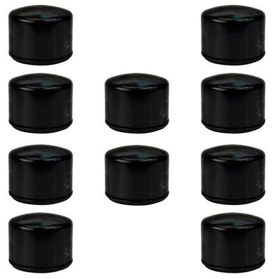 Raisman 80-36-007 Oil Filter Replaces 49065-0736, 492932S