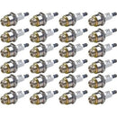 CHA-J19LM-X24-SHP
