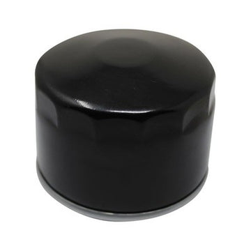 Raisman 80-36-010 Oil Filter Replaces 12 050 01-S