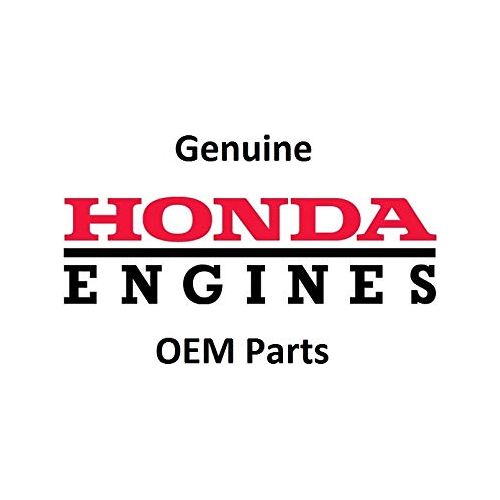 Honda OEM 17218-Z07-000 FILTRO EXTERIOR