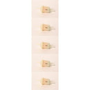 TOR-139-0717-X5-SHP