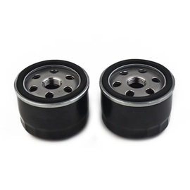 Raisman 80-36-008 Oil Filter Replaces 49065-0734