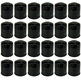 Raisman 80-36-010 Oil Filter Replaces 12 050 01-S