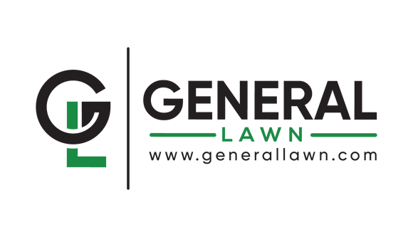 Transparent png c6c74abf 9270 4a0e a81c e92f865a7e13