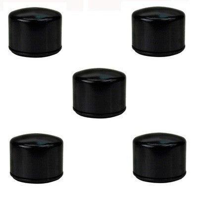 Raisman 80-36-007 Oil Filter Replaces 49065-0736, 492932S