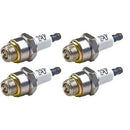 CHA-J19LM-X4-SHP
