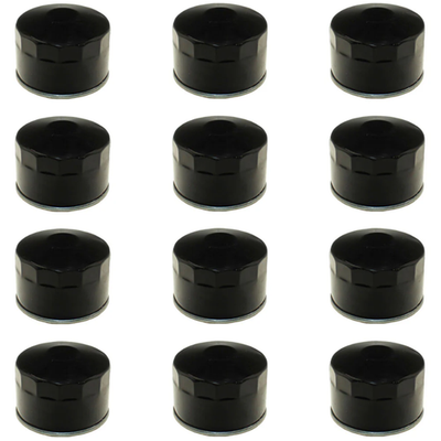 Raisman 80-36-010 Oil Filter Replaces 12 050 01-S