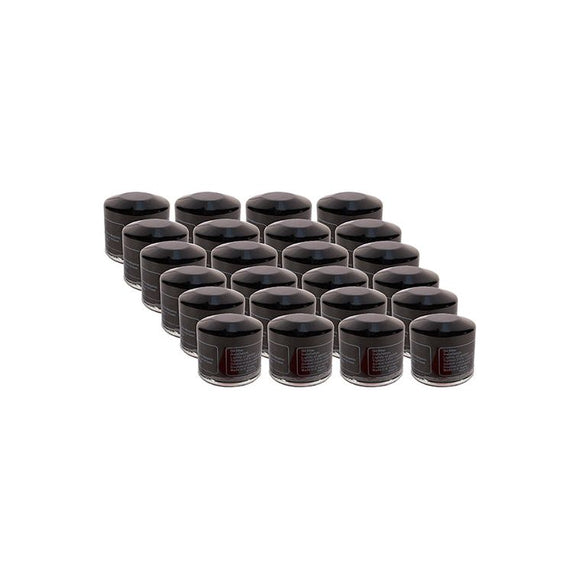 24 Pack of Rotary OIL FILTER Compatible with : 491056,  5205025, 52-05025,  42366,  20715100, 531 30 73-89
