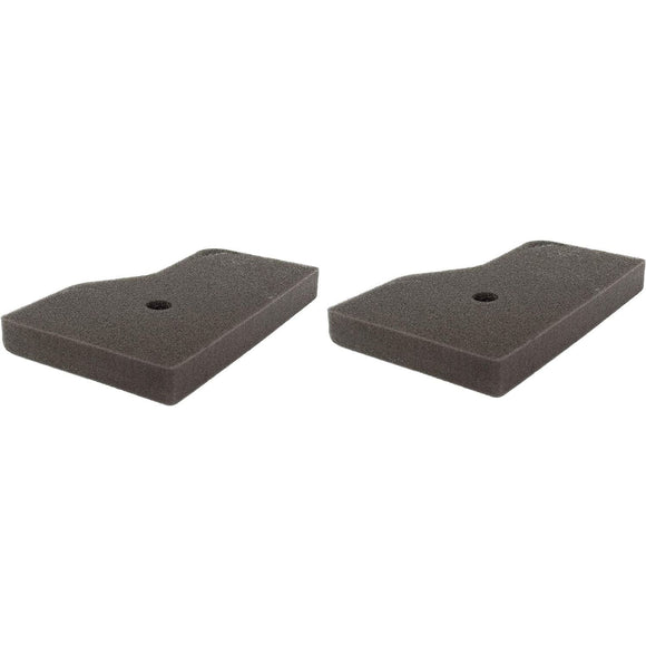 Honda OEM 2 Pack of 17211-Z07-000 ELEMENT, AIR CLEANER