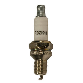 Champion OEM RDZ19H SPARK PLUG
